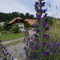 Gruben - Gürbetaler Höhenweg