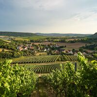 Weinbaugemeinde Eberstadt | Weinsberger Tal | HeilbronnerLand