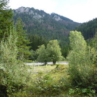 und Platz für mehr Wasser