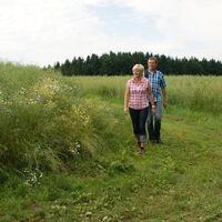 Wiesenweg zum Näsbachtal