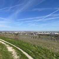 Und hier bereits kurz vor Mödling. Beim Naturpark Eichkogel gehts rechts ins Ortsgebiet..
