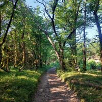 Chemin du Lac d'Armaille