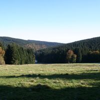 Mondscheinwiese
