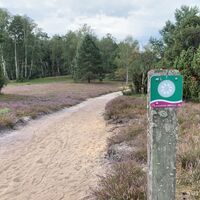 Wegweiser am Naturerlebnispfad Südheide