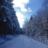 wieder einmal einfach nur Weg