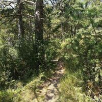 Wanderung zur Hohen Bank