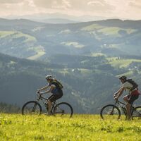 E-Bike Verleih_Radfahrer auf Wiese_Oststeiermark