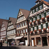 Calw