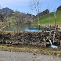 17.8 km Forellenhof Laussa