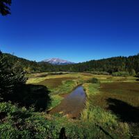 Blick zum Erlaufstausee in Mitterbach mit dem Ötscher im Hintergrund