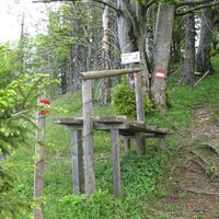 Aufstieg am Stadlberg