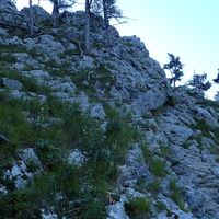 Aufstieg am Naturfreundesteig