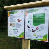 Infotafel über Schmetterlinge