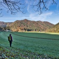 Herbststimmung in Stübing