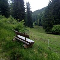 Orchideenwiese im Rothenbach