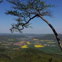 Weitblick