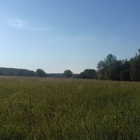 Allgäuer Wiesenlandschaft im Günztal