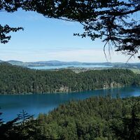 Alpsee- im Hintergrund der Forggensee