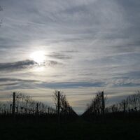 Fels - Absdorf