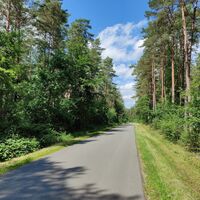 Waldstraße bei Ortheide