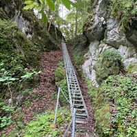 L3 Rinnerberger Trail