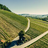 Aussicht am Wartberg ins Weinsberger Tal | Weinstadt Heilbronn | HeilbronnerLand