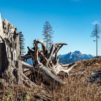 Blick ins Gesäuse