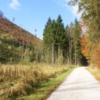 im Mühlbachgraben