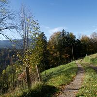 Weg vor Schwand - Gibelegg Rundtour