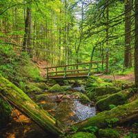 Windbergschlucht