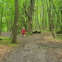 10.5 km Links weiter beim Holzkreuz