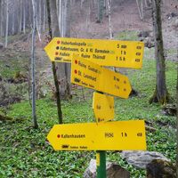 Wegweiser am Weg zur Ruine Gutrat
