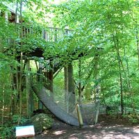 12 Löwe-Turm und Bohlenweg