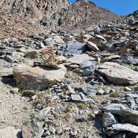 Die letzten Meter vor dem Joch gehen nochmal etwas steiler hoch.