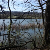 Hütteldorf - Lainzer Tiergarten - Liesing
