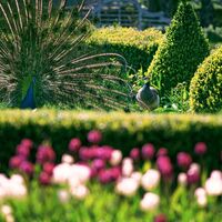 Garten(t)räume im Gartenschloss Herberstein (c) Bernhard Bergmann
