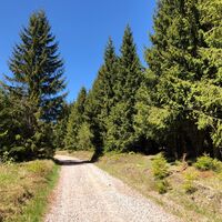Thüringer Wald, Wanderung rund um die Schlossbergkanzel bei Oberhof