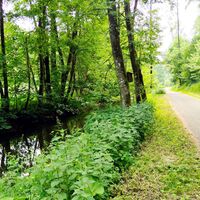 Auf dem Dilltalradweg