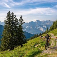 MTB-Tour Gamidauer