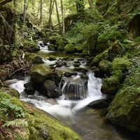 Wolfsschlucht Todtnau