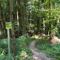 Pyhra Trail