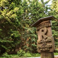Rennsteig im Thüringer Wald