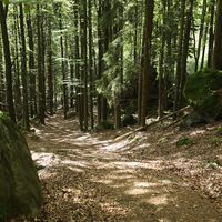 Felsenlabyrinth