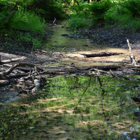 Emsquelle in Schloß Holte-Stukenbrock