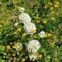Storchenwanderweg Winden
