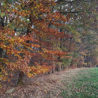Herbststimmung am Fabelweg "Geheimnisvoller Sebbel"