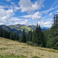 leobner - blaseneck runde_img_73720481
