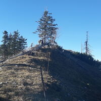 16.7 km Loskogel
