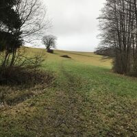 --> Exkurs: Blick an ca. derselben Stelle am 20.12.2020