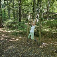 Fitnessgeräte im Wald